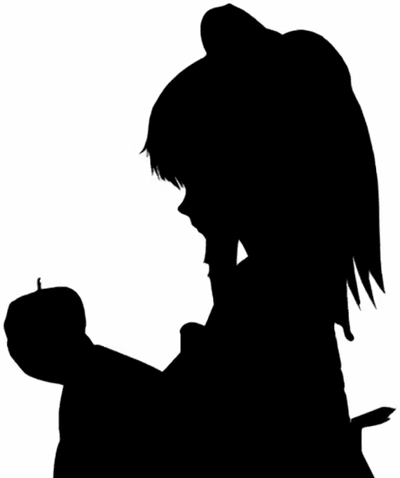 [Touhou] Bad Apple!! PV [Shadow]