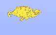 Club Penguin Ice Fishing