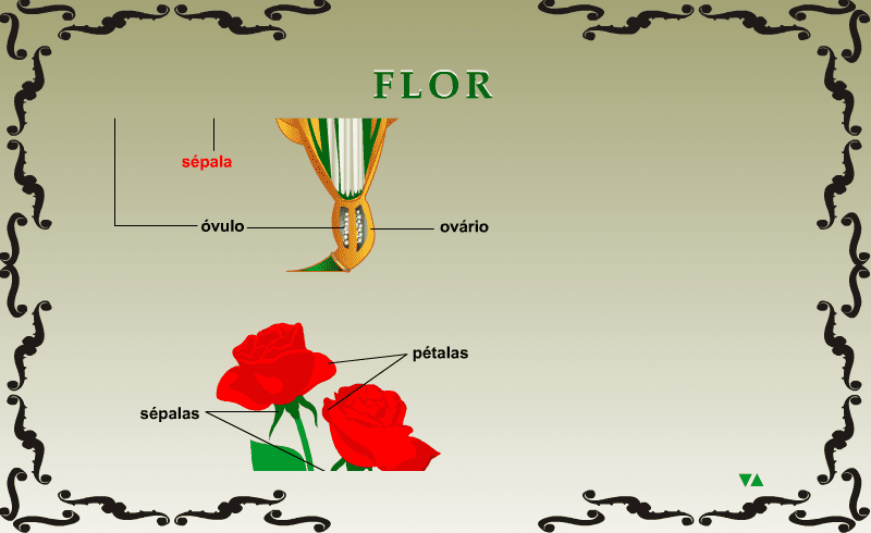 Flor screenshot