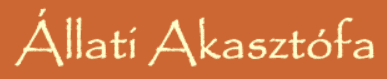 Állati Akasztófa