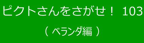 ピクトさんをさがせ！103（ベランダ編）