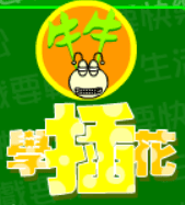 牛牛學插花