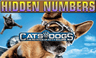 Hidden Numbers: Cats and Dogs