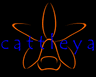 Cattleya Website Intro (2001)