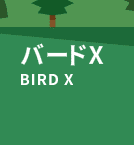 バードX