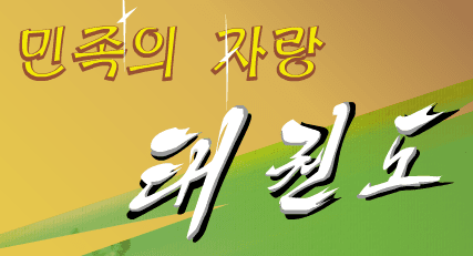 민족의 자랑 태권도