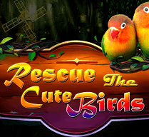 Rescue The Cute Birds