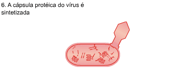 Virus screenshot