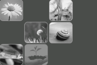 MZGK Bolesławiec: Kafelki screenshot