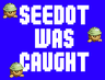 Seedot Was Caught