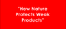 Dilbert Episode 2 - How Nature Protects Weak Products