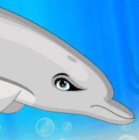 Snowbristle Dolphin Maker