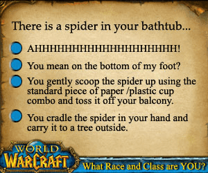 WoW: What Race and Class are YOU? screenshot