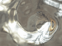 水面
