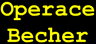 Operace Becher