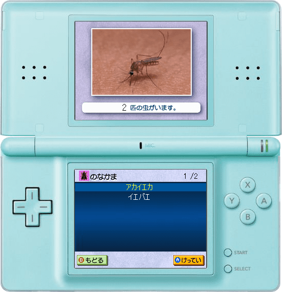 虫図鑑DS［体験版］ screenshot