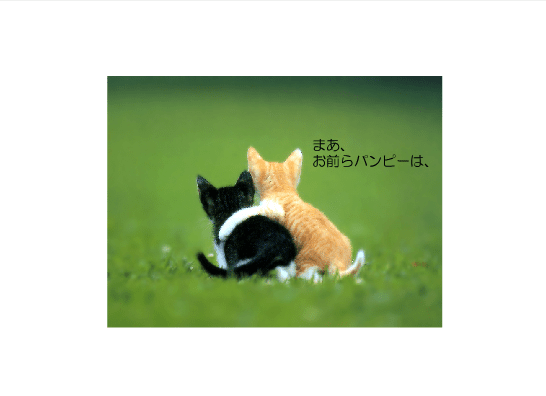 Cat screenshot