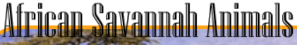 African Savannah Animals