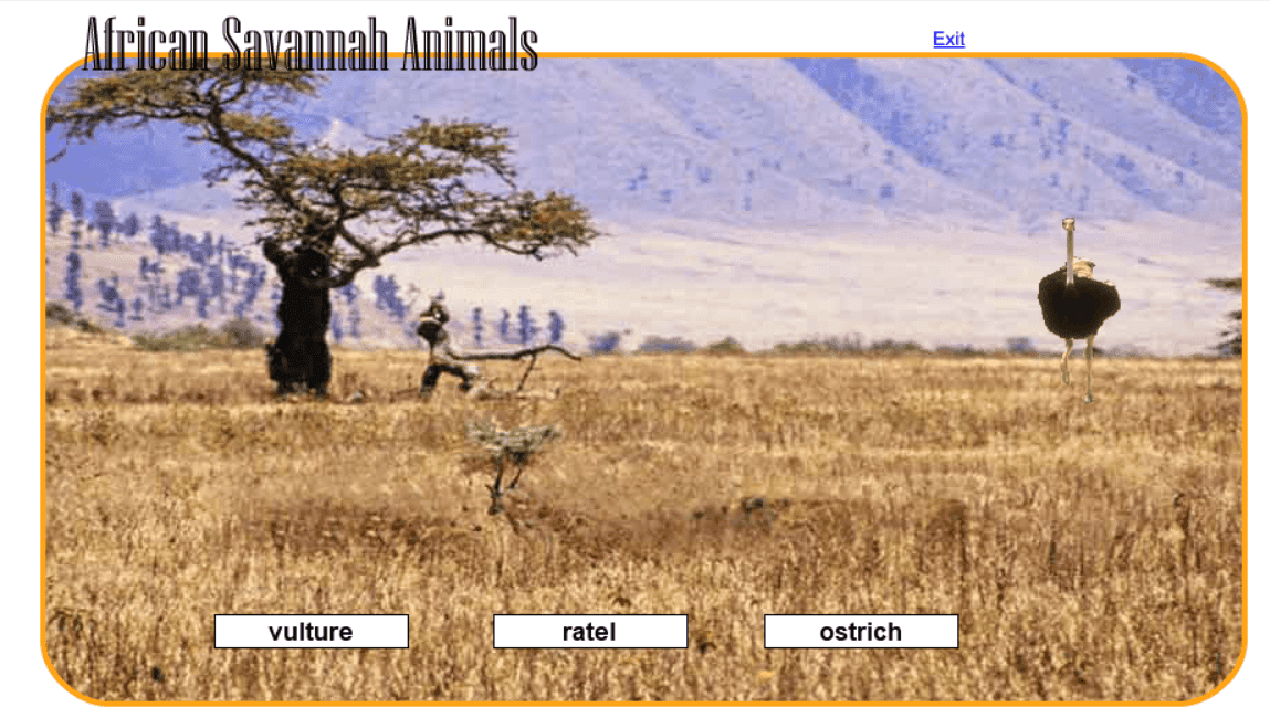 African Savannah Animals screenshot