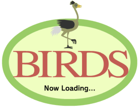 BIRDS