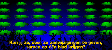 Willem Wever frog game