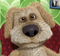 Talking Ben the Dog