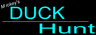 Mickey's Duck Hunt