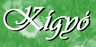 Kígyó