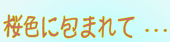 『 桜色に包まれて・・・』
