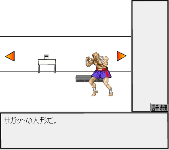 サガットルーム screenshot
