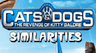 Cats and Dogs - Similarities