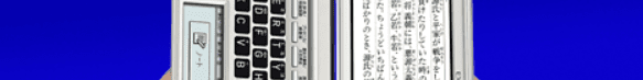 EX-word 2010 Banner Ad screenshot