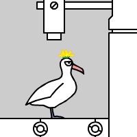 アホウドリの頭の上にタンポポを乗せる仕事