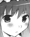 Patchouli Wish