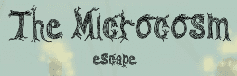 The Microcosm Escape