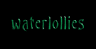 Waterlollies
