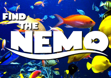 Find the Nemo