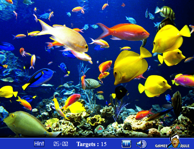 Find the Nemo screenshot