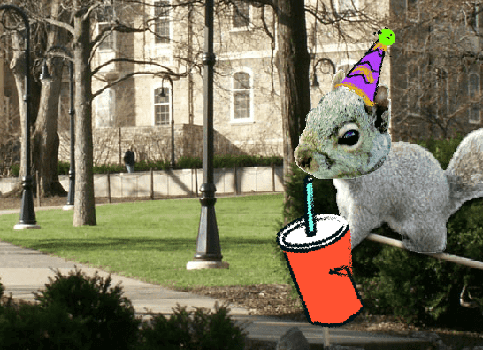 Birthday Squirrels screenshot