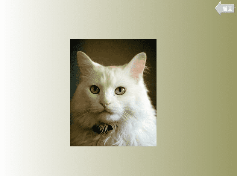 動物聲音 screenshot