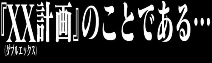 『XX計画』のことである・・・ (ダブルエックス)