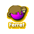 Labirinto do Ferret