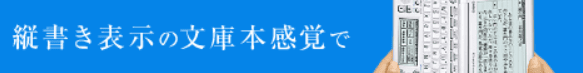 EX-word 2009 Banner Ad screenshot