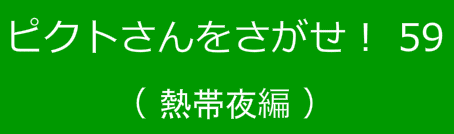 ピクトさんをさがせ！59（熱帯夜編）