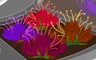 [F] Samm: Examine garden