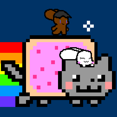 White And Shade Rides Nyan Cat
