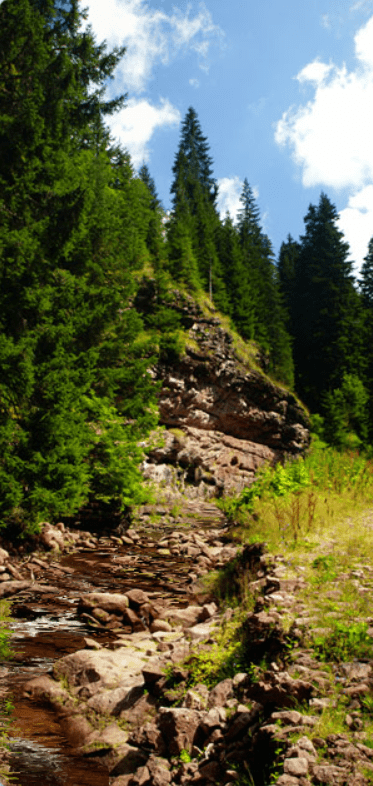 Ustronianka - Animacja główna screenshot