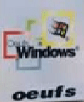 Windows eggs (oeufs win.)