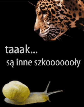 Ogólnopolski Ośrodek Rozwoju Zawodowego Progres Banner Ad screenshot