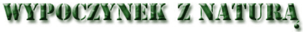 Wypoczynek z naturą Banner Ad